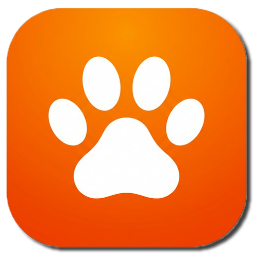 KittyConnect AI icon